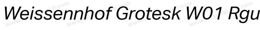 Weissennhof Grotesk W01 Rgular字体转换